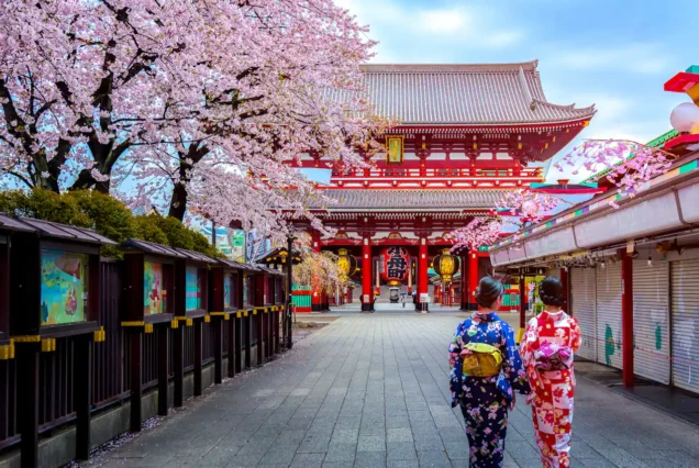 Sakura Zamanı Japonya Rüyası