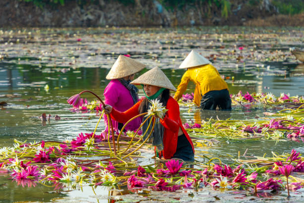 Vietnam - Kamboçya ve Tayland Phuket Yolculuğu